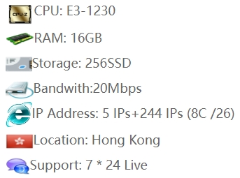 249 IP (8C )16GB 20Mbps Hong Kong